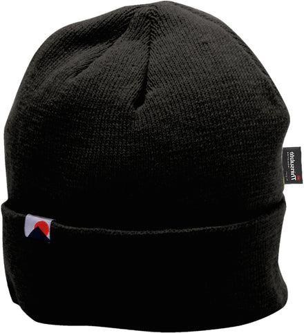 Knit Cap Insulatex™ Lined Hat