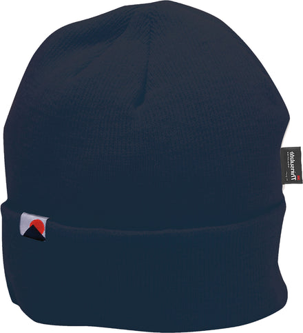 Knit Cap Insulatex™ Lined Hat