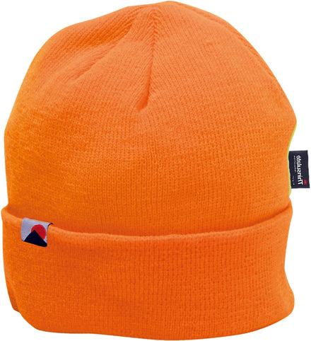 Knit Cap Insulatex™ Lined Hat