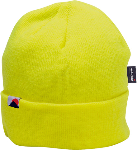 Knit Cap Insulatex™ Lined Hat