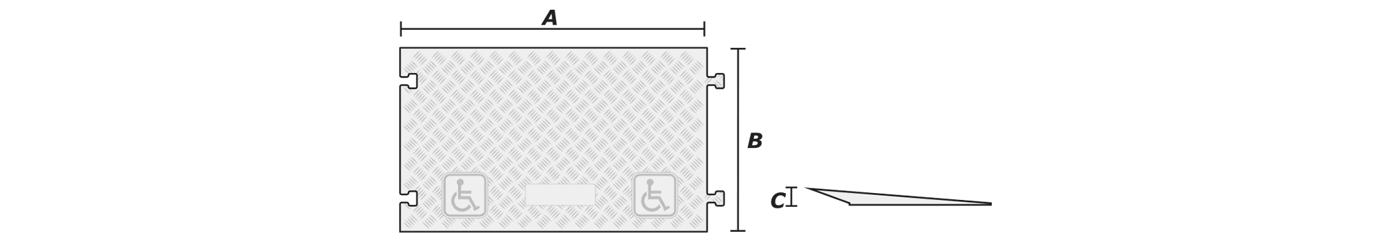 ADA Accessibility Ramp For Guard Dog® 3 Channel Drop Over (pair)